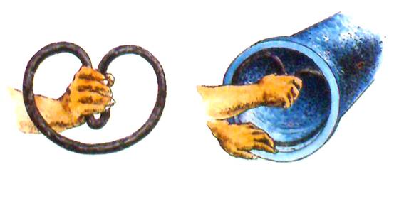 ��ī�T�F���zȦ���b����